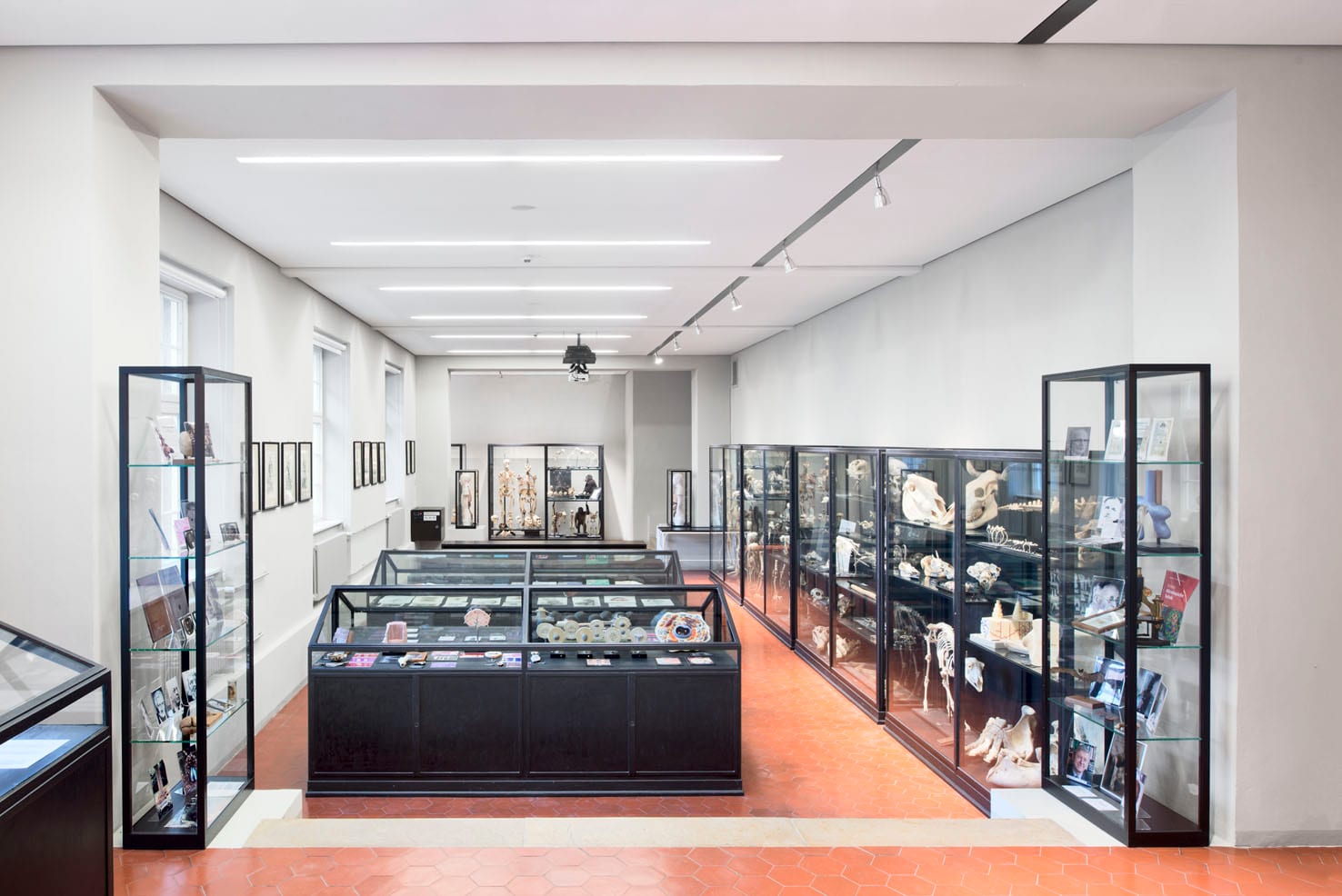 Anatomische Anstalt München