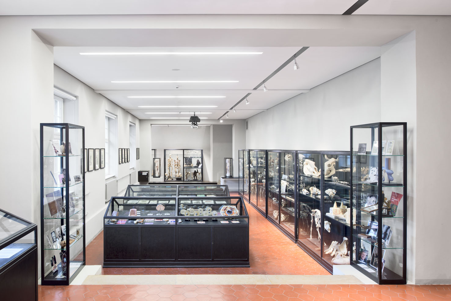 Anatomische Anstalt München